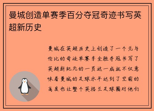 曼城创造单赛季百分夺冠奇迹书写英超新历史